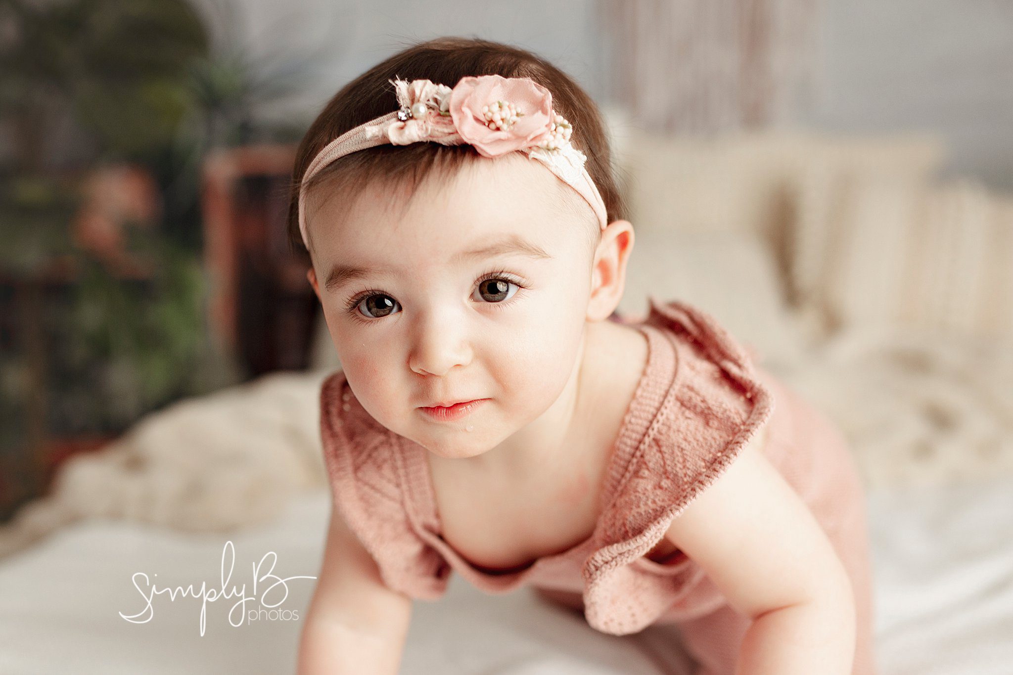 edmonton twin baby photographer