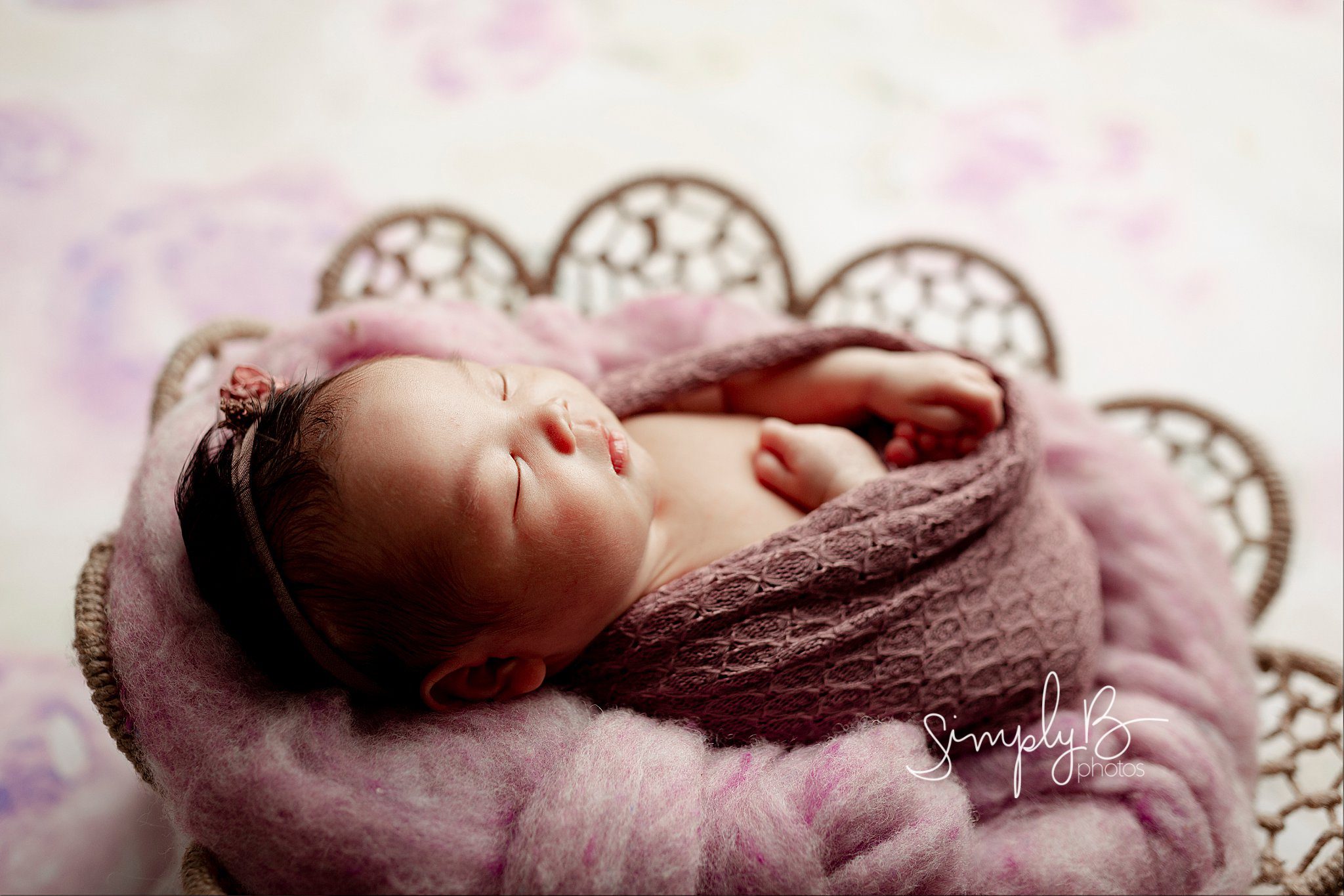 edmonton newborn photographer studio