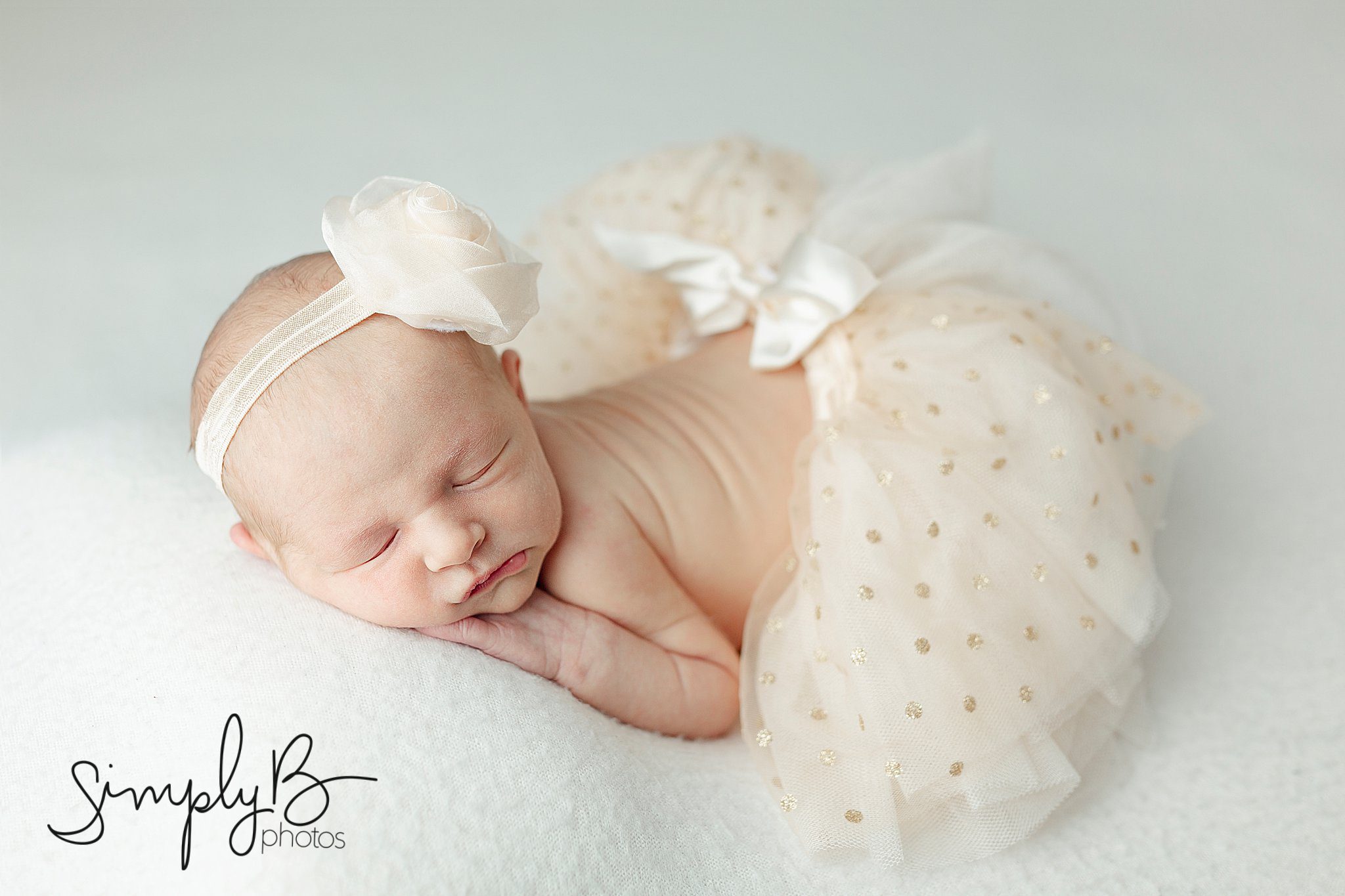 Edmonton newborn photography mini session
