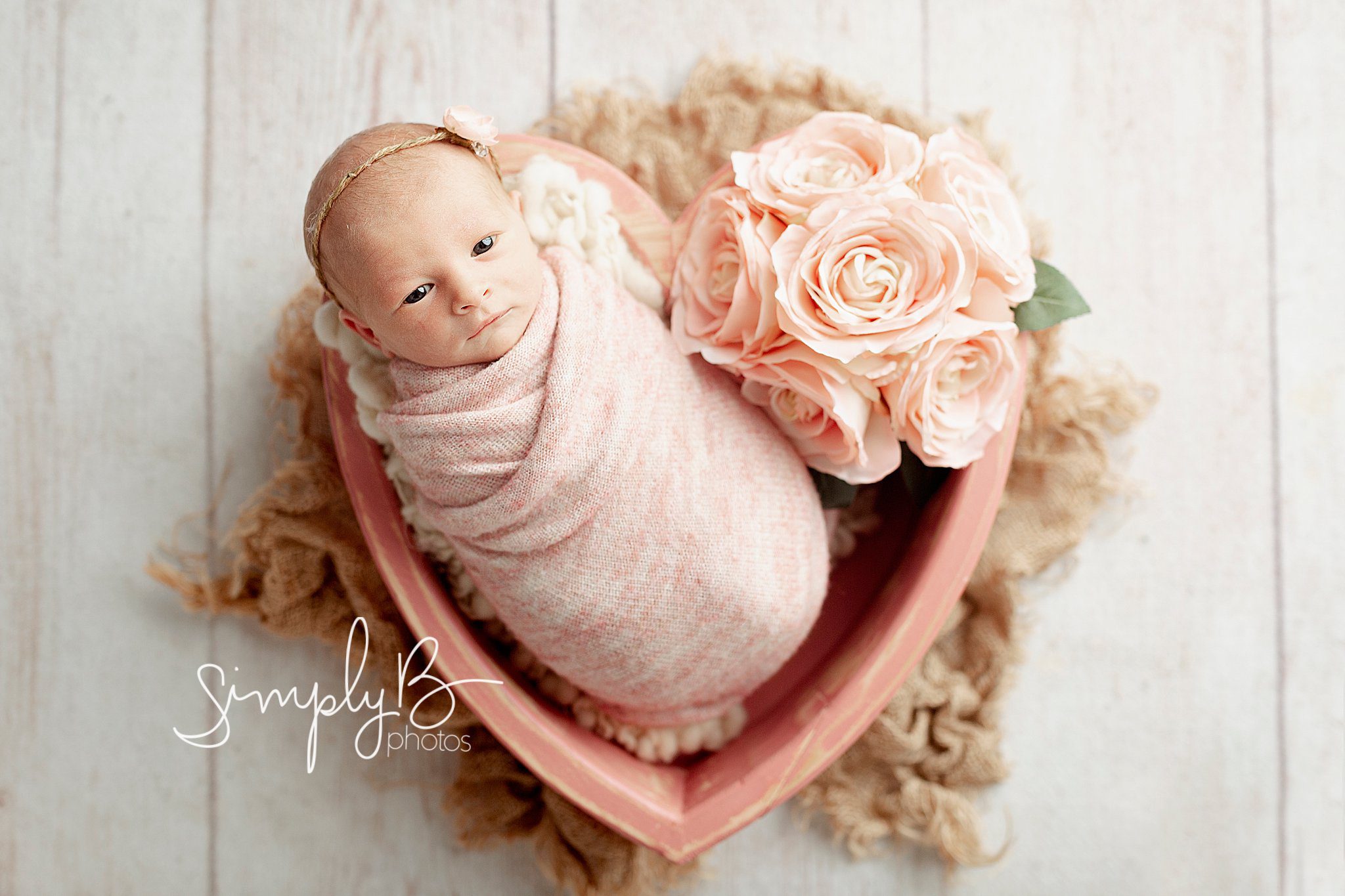Edmonton newborn photography mini session